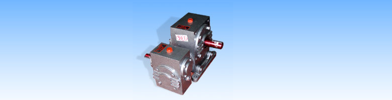 Horizontal Double Worm Reduction Gearbox
	